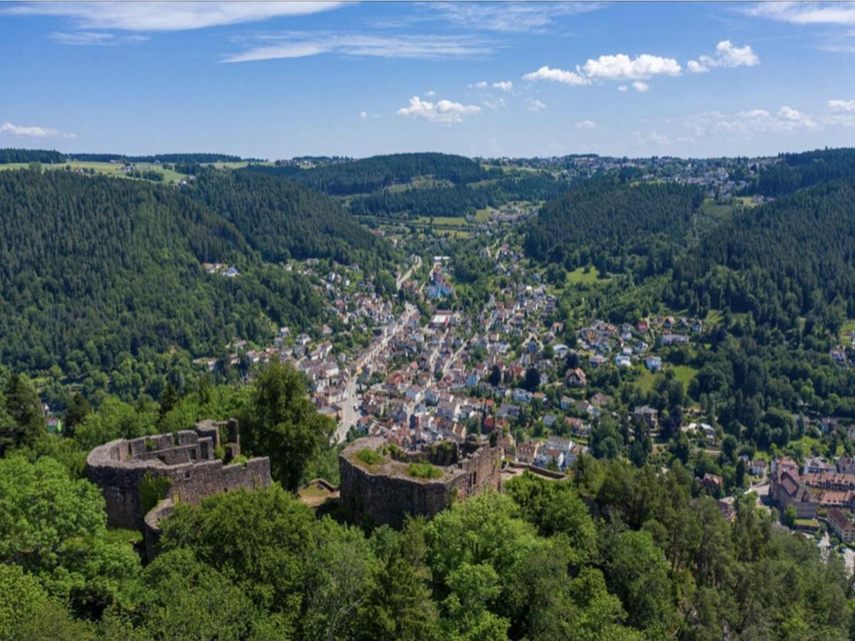 Haus Schiltach Apartamento Schramberg Exterior foto